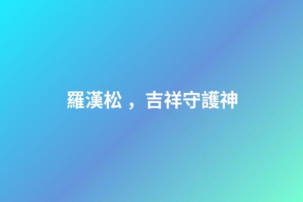 羅漢松，吉祥守護神